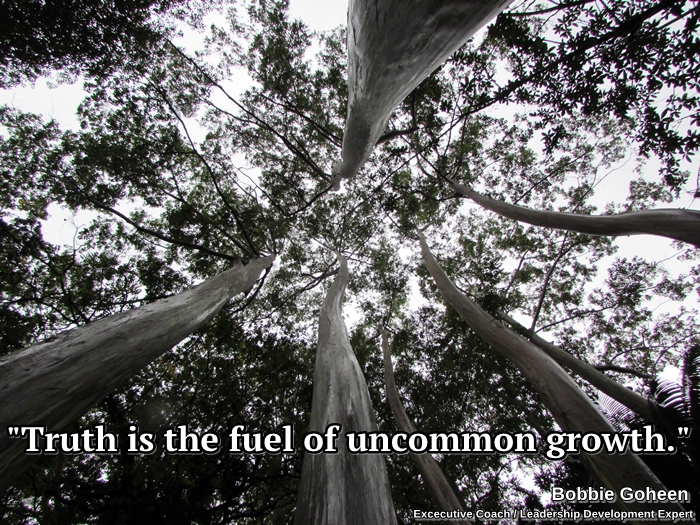 truth-is-the-fuel-of-uncommon-growth-bobbie-goheen