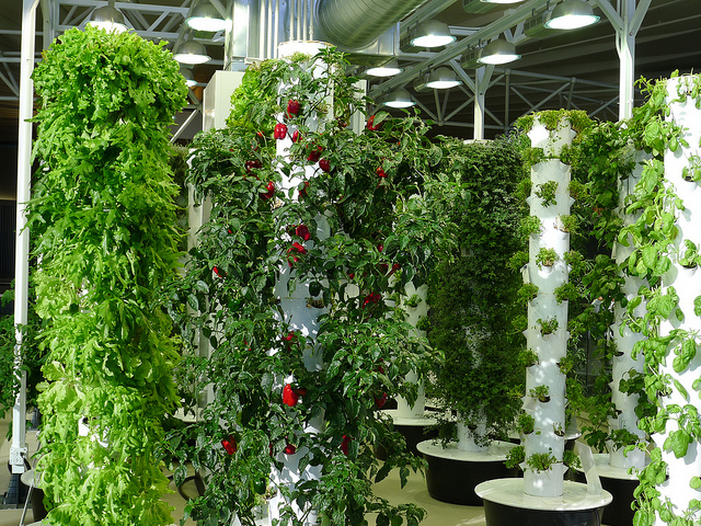 Vertical gardens offer fresh produce with a small footprint