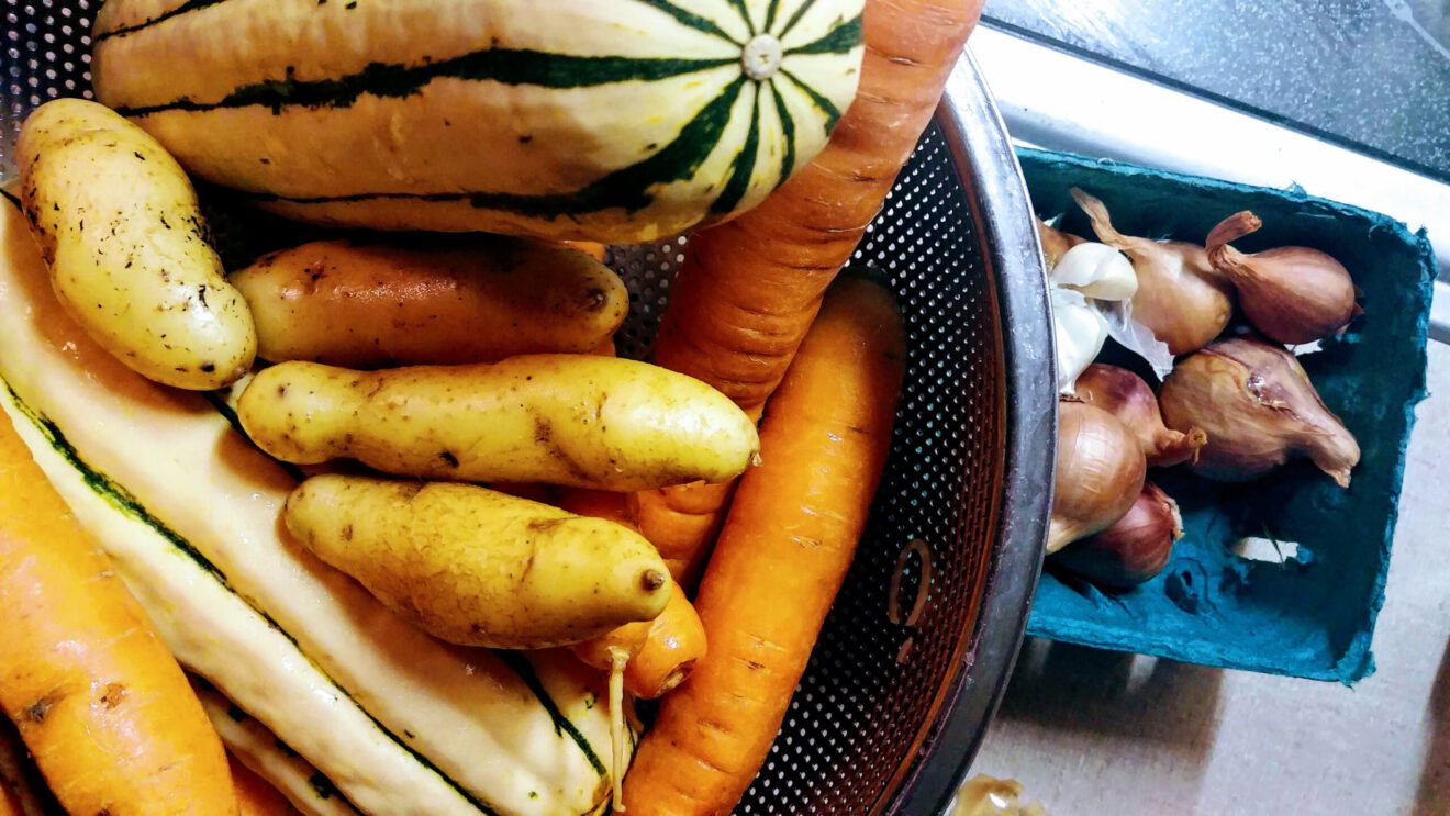 Startups turn to ugly produce to feed people, help the planet.