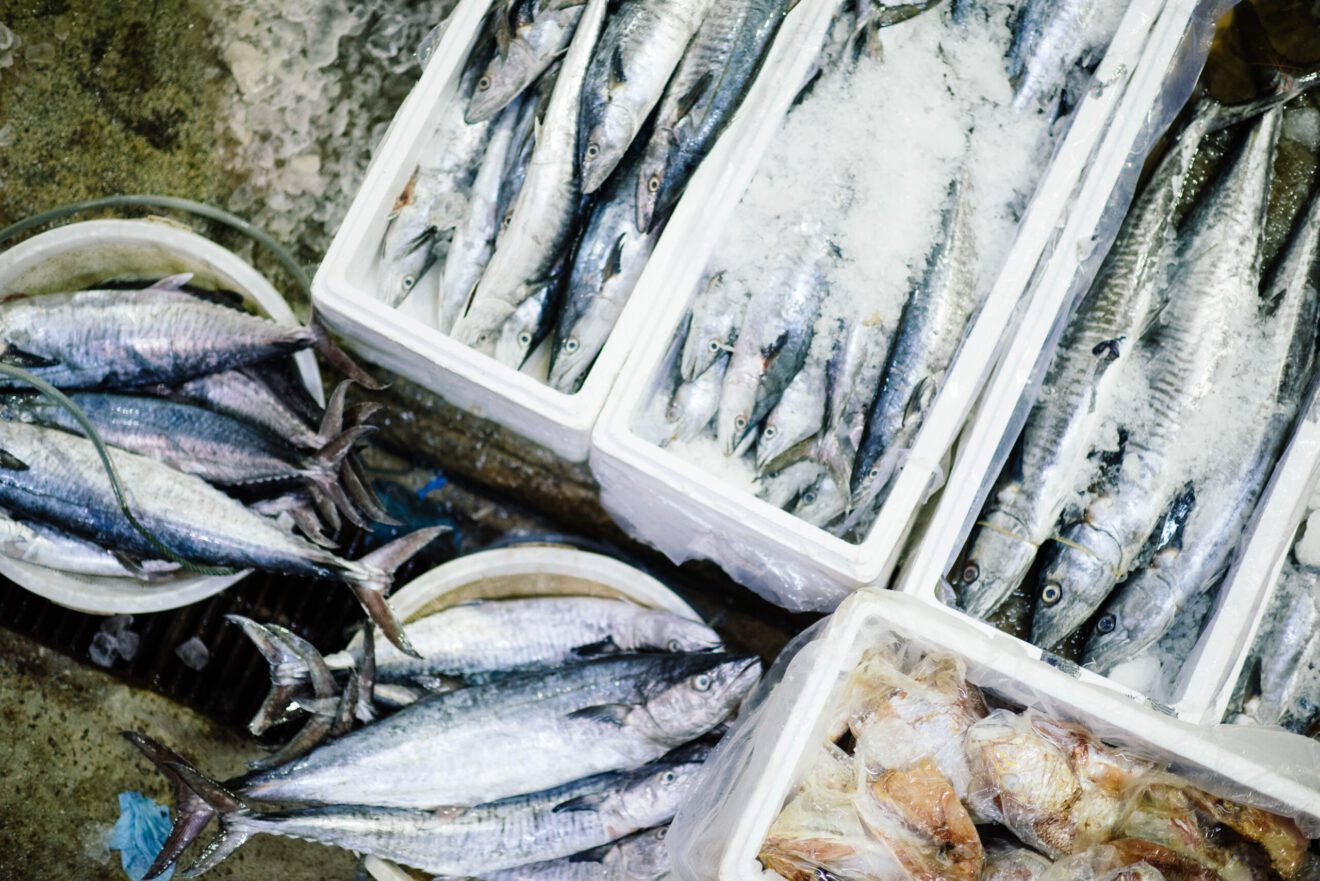 The state of sustainable seafood