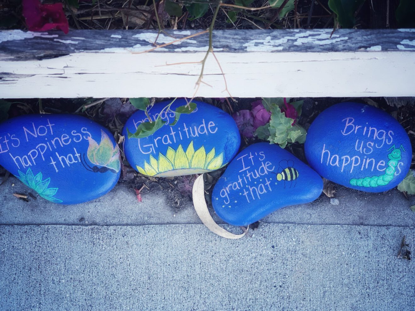 decorative rocks with saying about gratitude fred ende culture of gratitude