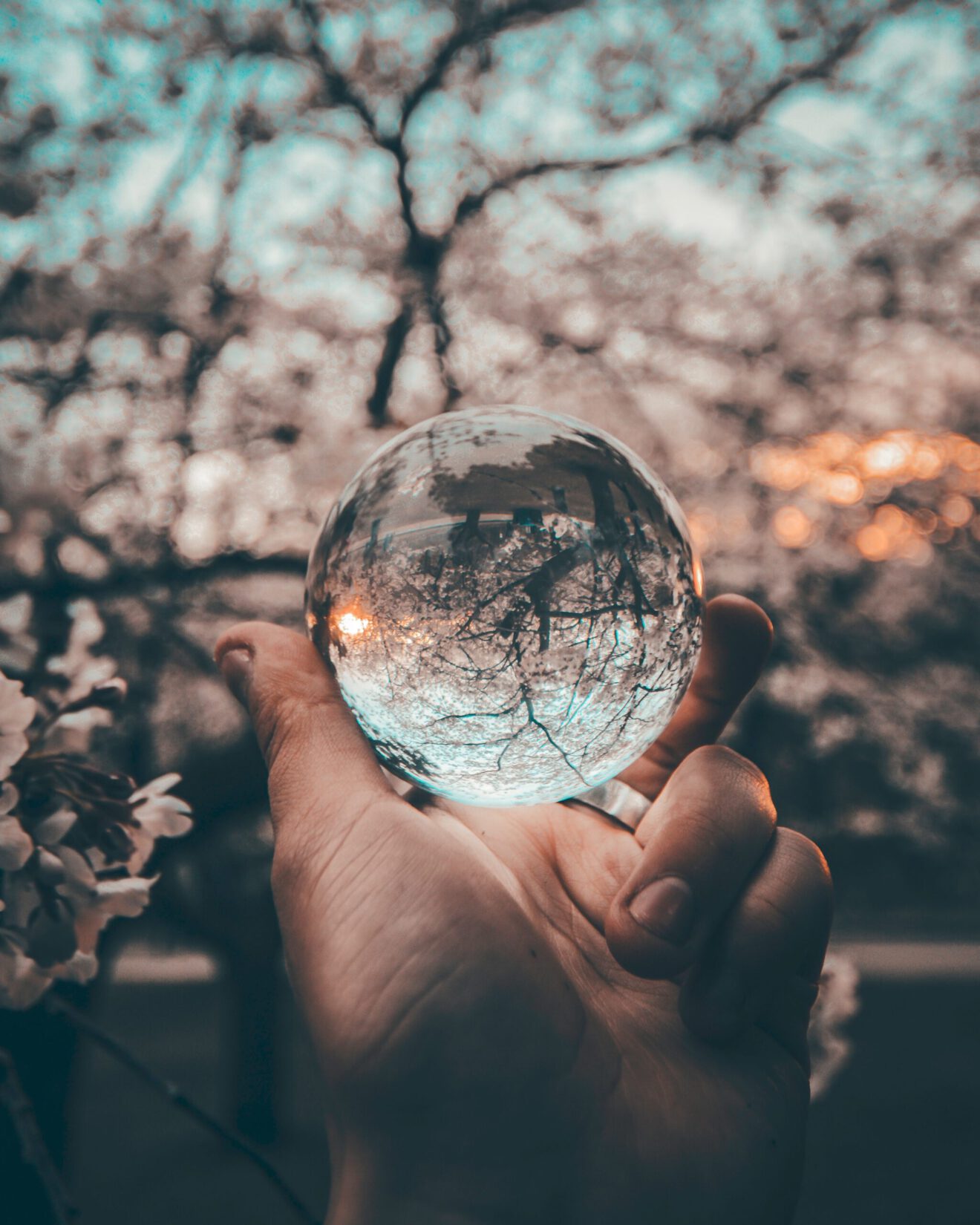 Reflection of flowering trees in glass ball held in man's hand for article on good decisions