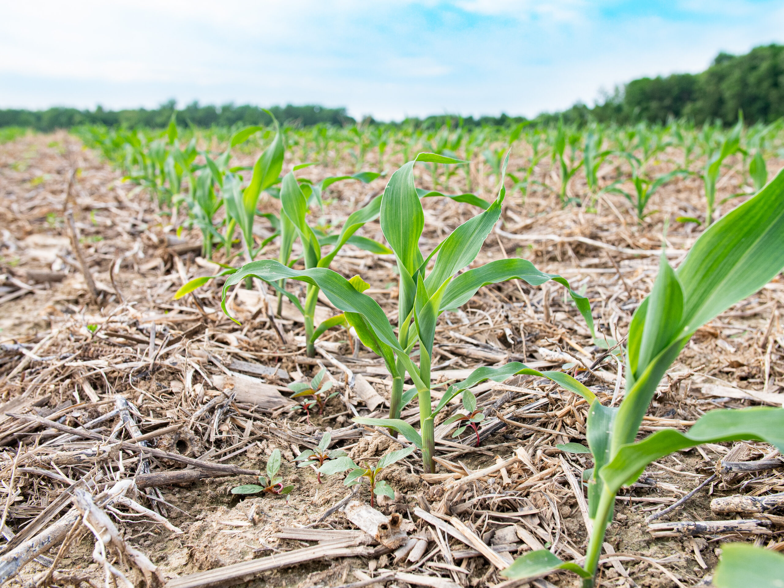 Photo inspiration: Visual Reference: How The Cpg Industry Prioritizes Sustainable Ingredient Sourcing