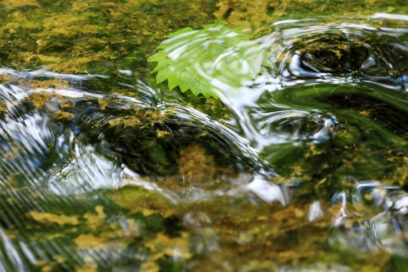 water