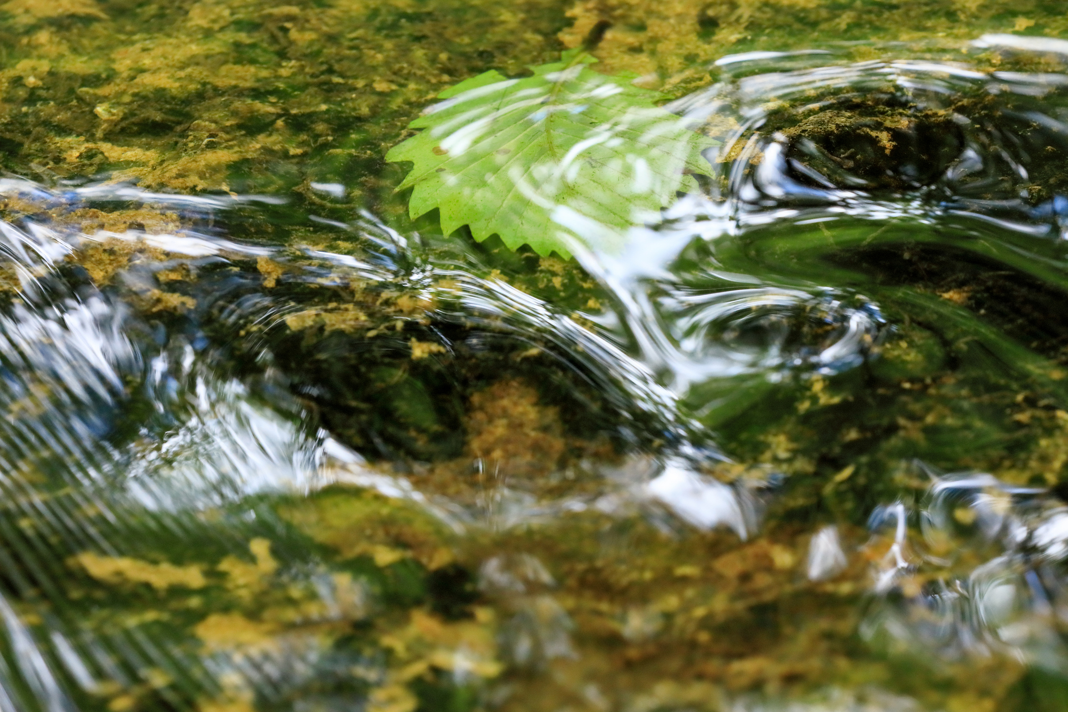 Water always finds a way – and so do good leaders