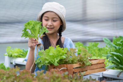 Happy little girl looking at hydroponic vegetables in her hands at greenhouse garden, learning about bio plants