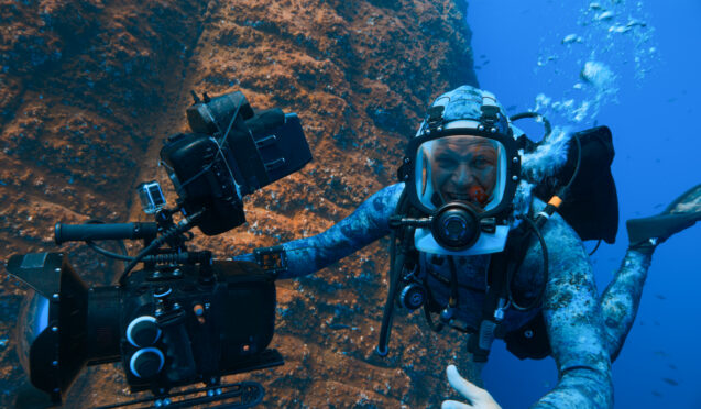 Host, Bertie Gregory dives at Revillagigedo Islands. 